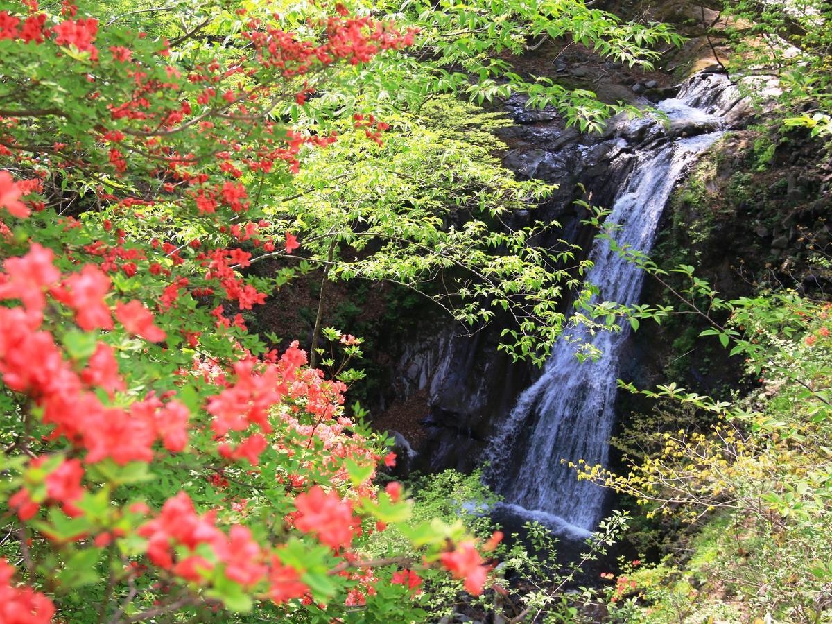 Hatago Chujikan Otel Maebashi Dış mekan fotoğraf