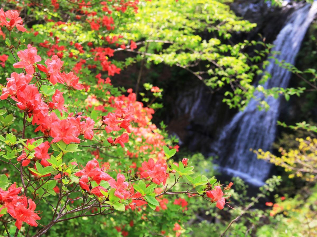 Hatago Chujikan Otel Maebashi Dış mekan fotoğraf